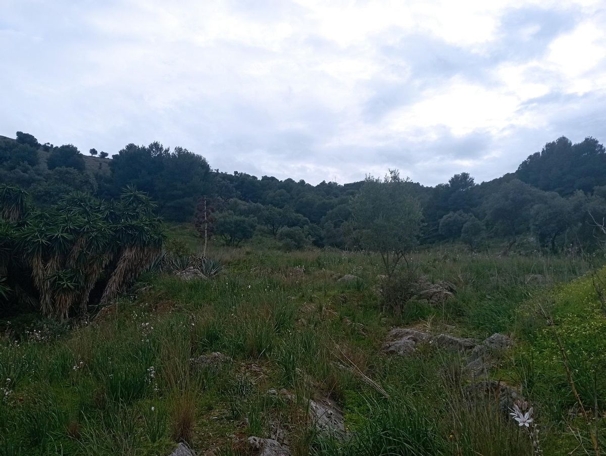 Un rincón de la Sierra de Churriana