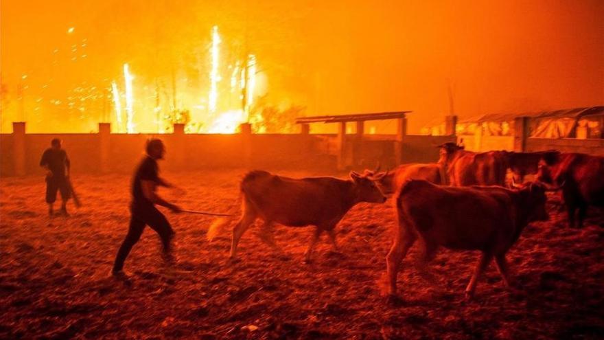 Asciende a 27 el número de muertos por los incendios en Portugal