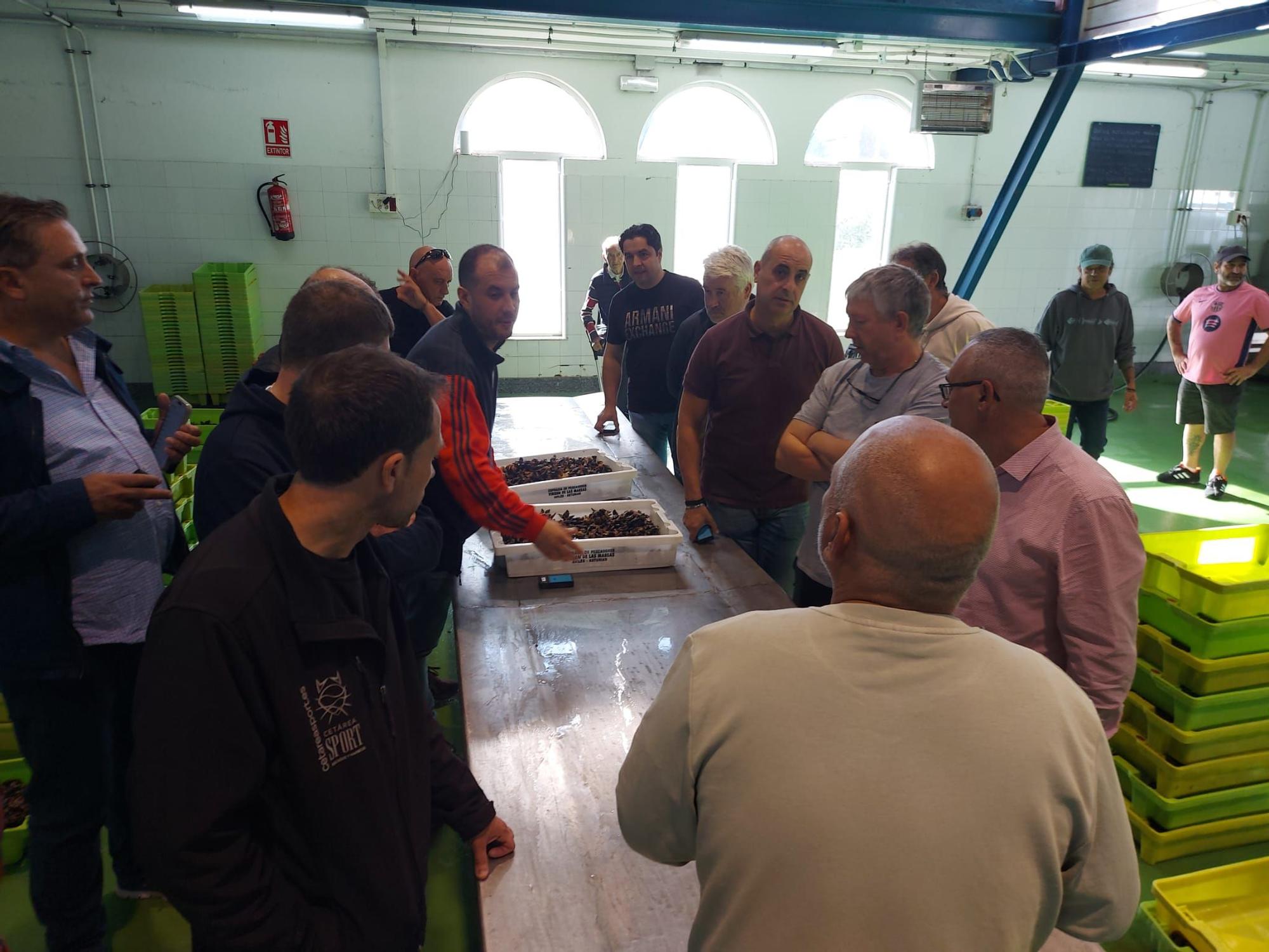 En imágenes: La primera subasta de percebe de la temporada en la rula de Puerto de Vega