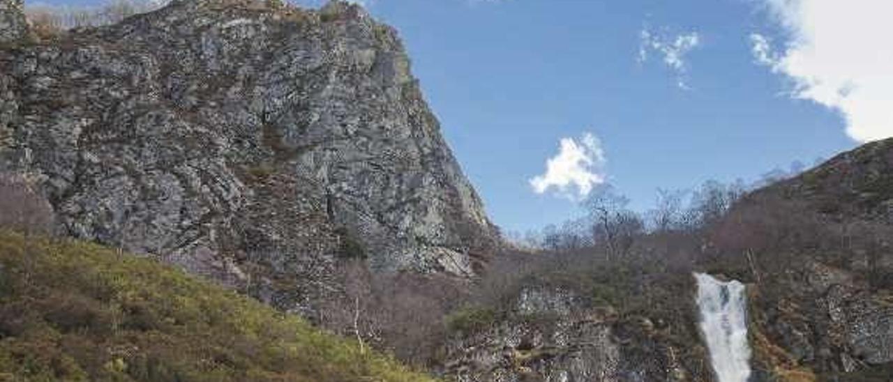 Pinos silvestres sobre el Tabayón del Mongayu