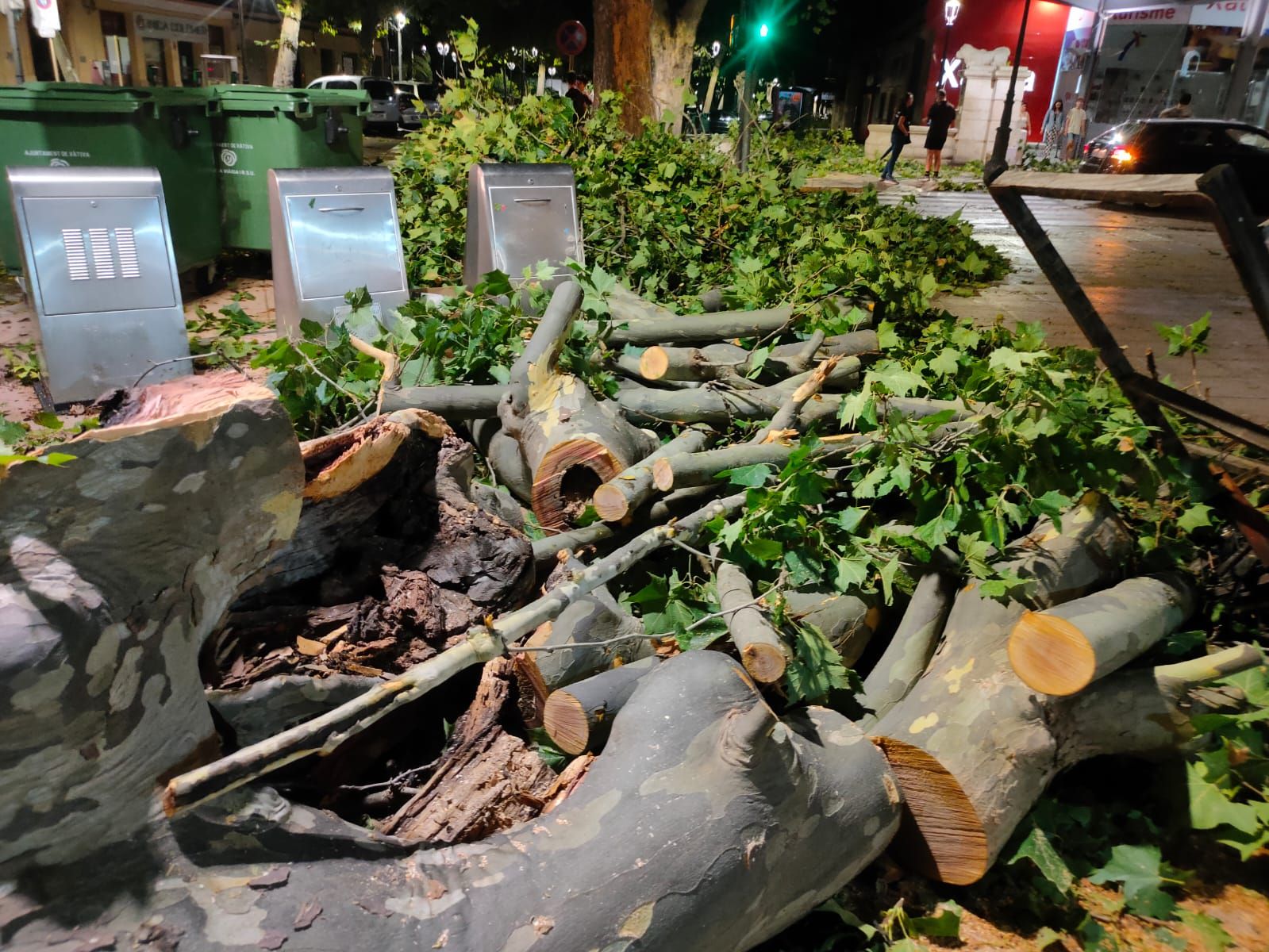 Destrozos en l'Albereda de Xàtiva por la tormenta