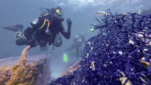Una altra vida als plàstics del mar