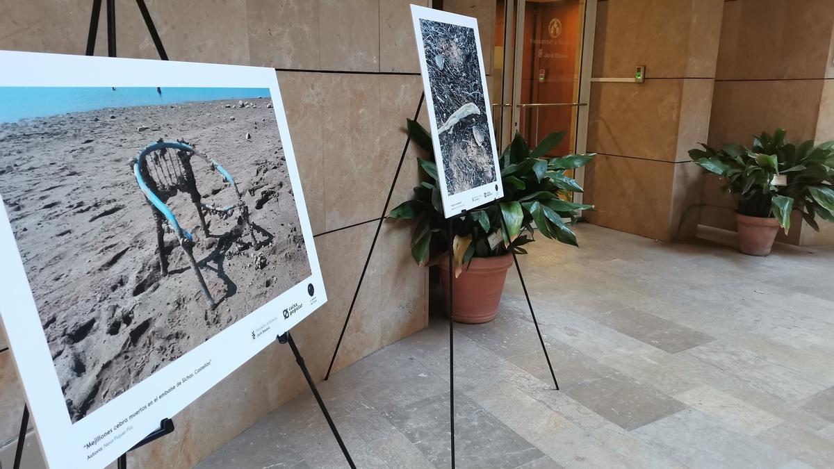 L’exposició «La Mostra del Canvi» de Caixa Popular arriba al Jardí Botànic.