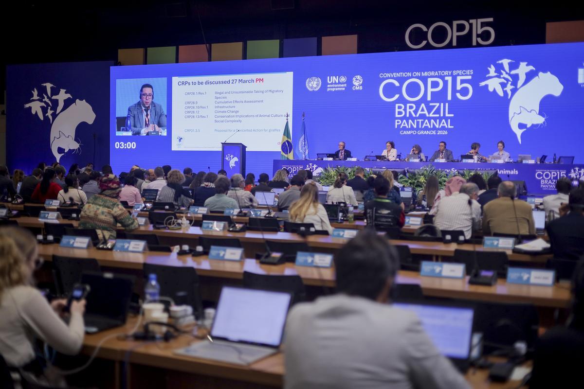 Jornada de la convención