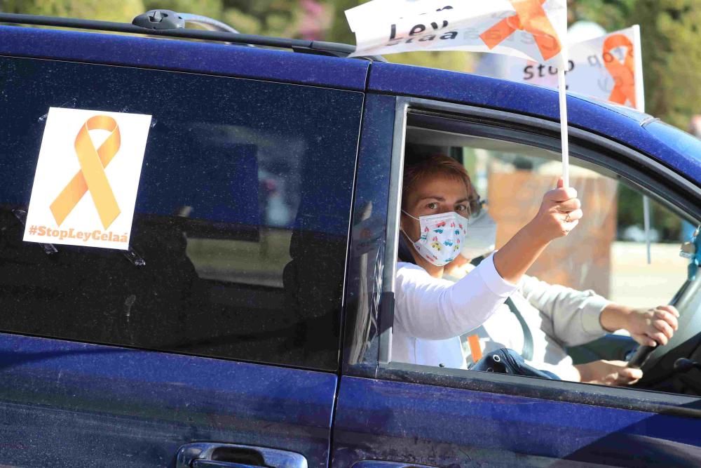 Protesta en Cartagena contra la Ley Celaá