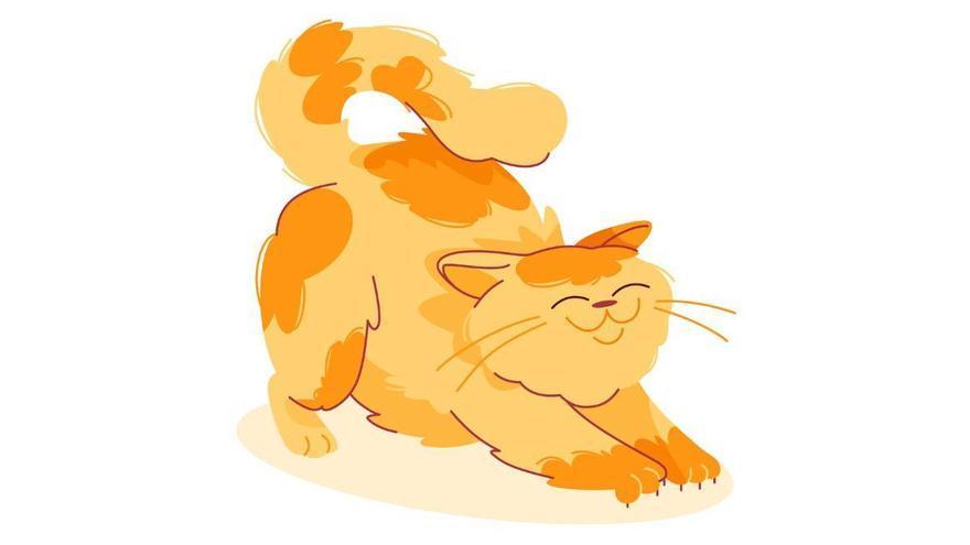 Teoría política del gato naranja