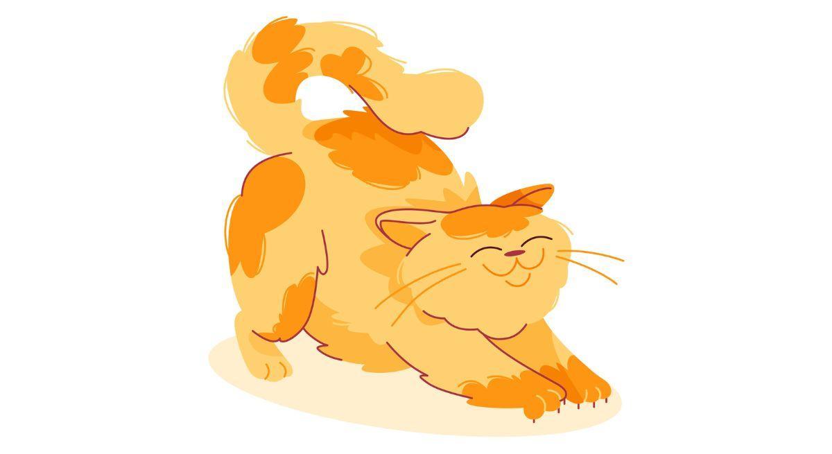 Teoría política del gato naranja