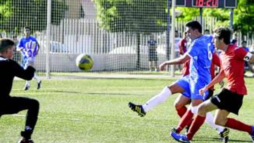 Diocesano, UP Plasencia y Don Bosco vuelven a la carga