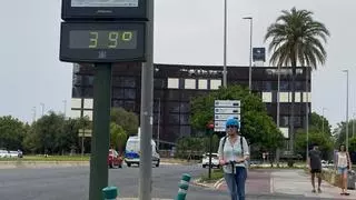¿Vuelve el calor? Esta es la previsión del tiempo para este domingo en Córdoba