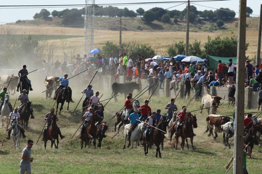 Segundo espante de Guarrate, con un caballista her