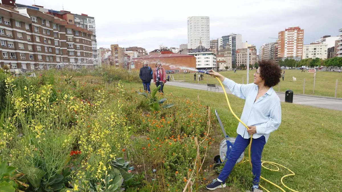 El jardín comunitario del Solarón de Gijón disfruta de un nuevo sistema de riego: "Antes era tremendamente cansado"