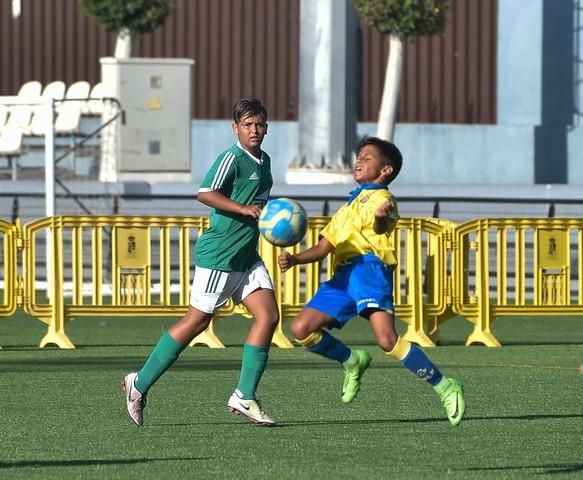 Copa de Campeones de Alevines