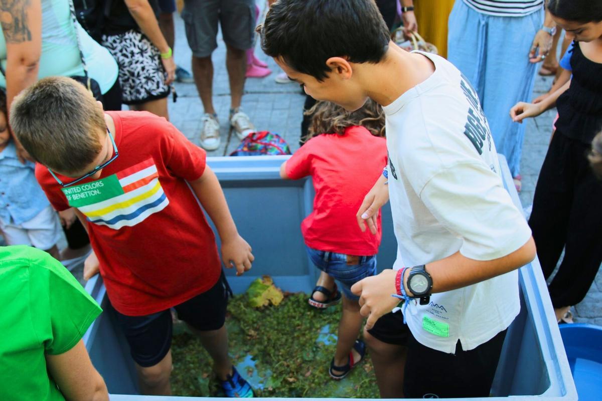 La cuarta edición de la Vendimia Infantil de la Cooperativa Agrícola La Unión reunió ayer en Montilla a decenas de niños y niñas de todas las edades Vendimia Infantil Montilla