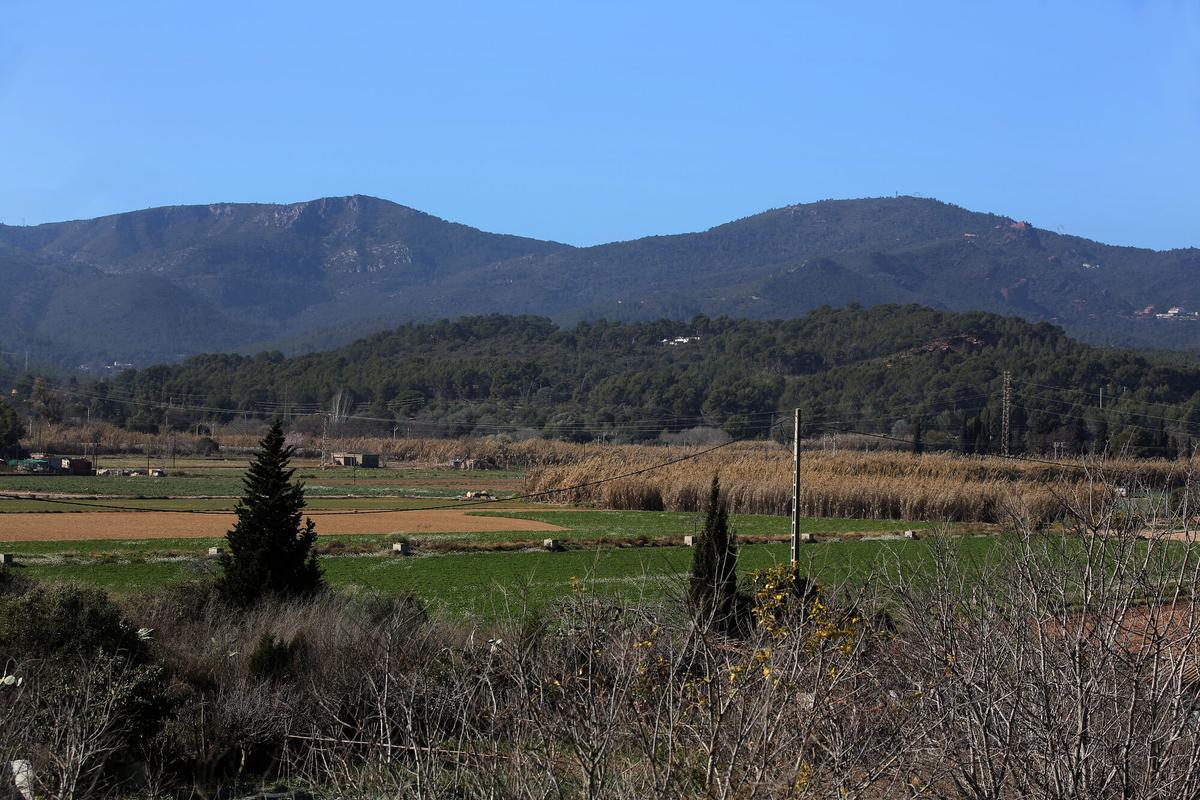 "El proyecto inmobiliario en la Riera dels Canyars debería realizarse en otra ubicación"