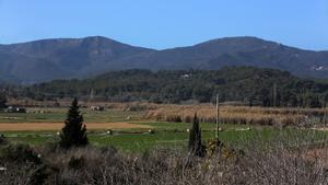 "El proyecto inmobiliario en la Riera dels Canyars debería realizarse en otra ubicación"