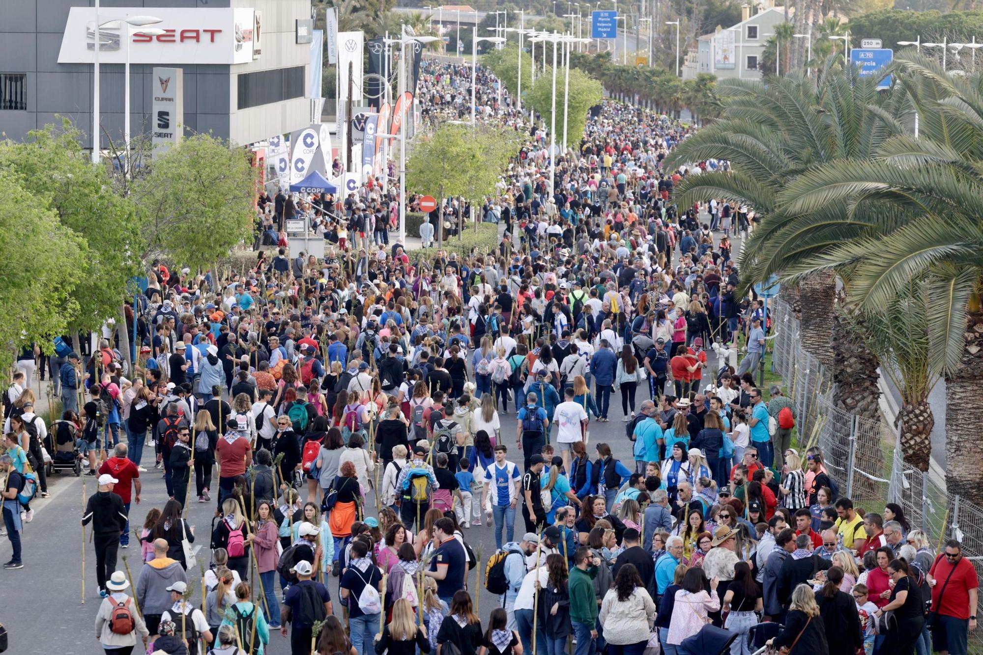 Multitudinaria romería de la Santa Faz 2023