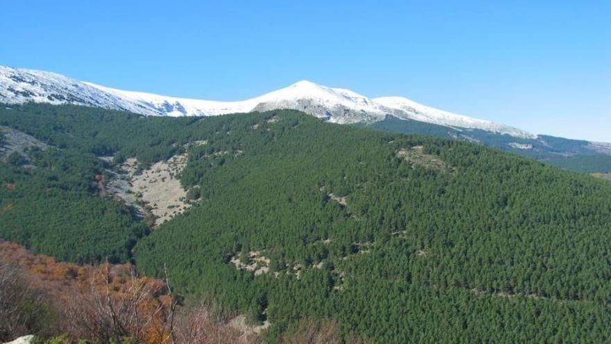 Vista del Moncayo.