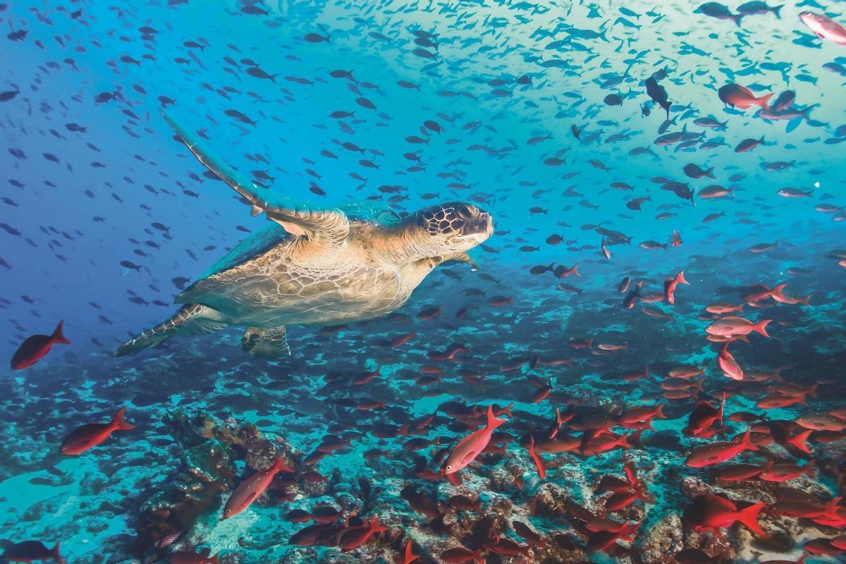 Islas Galápagos, Ecuador