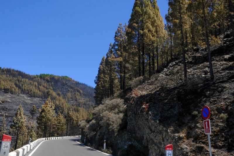 Consecuencias del incendio: De Valleseco a Artenar