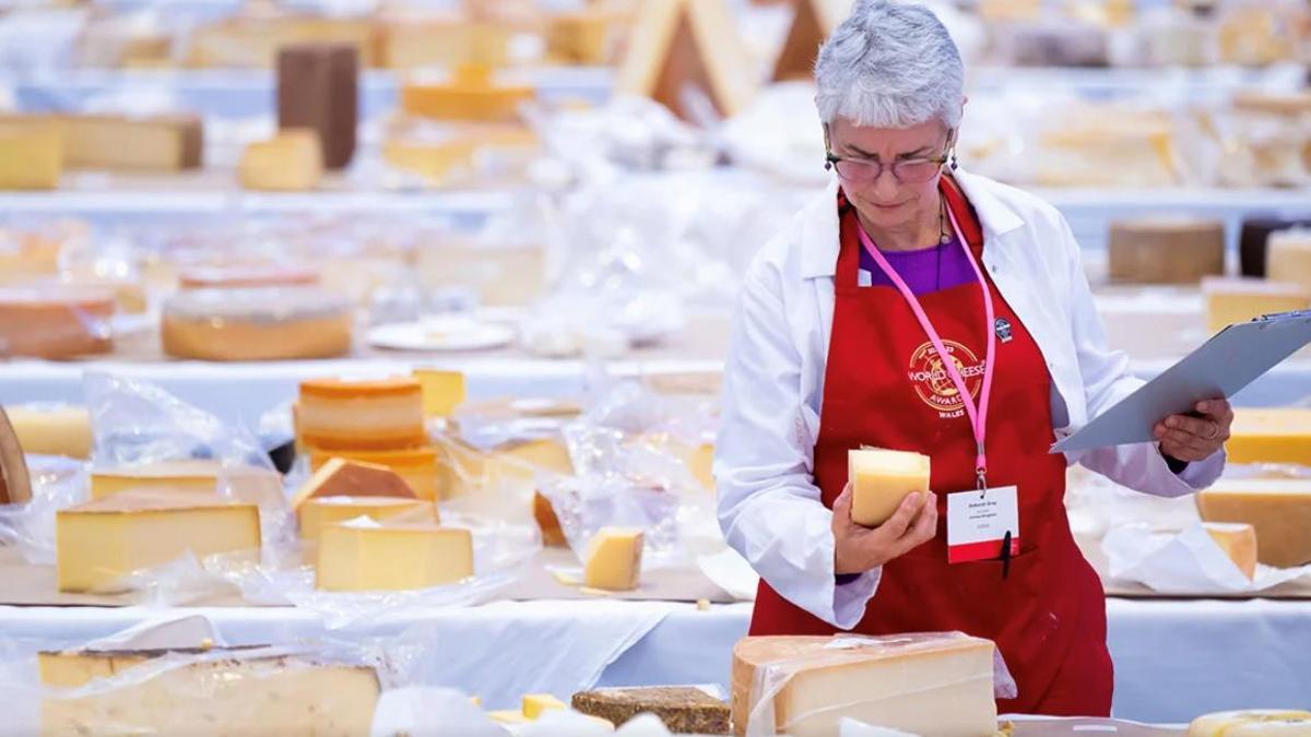 Una jueza evalúa quesos presentados en los World Cheese Awards.