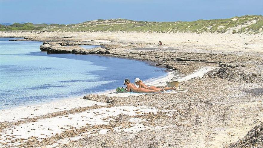 ¿Matará el calor al virus?