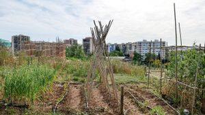 Rubí obre un nou termini per a la sol·licitud de parcel·les als horts de Cova Solera