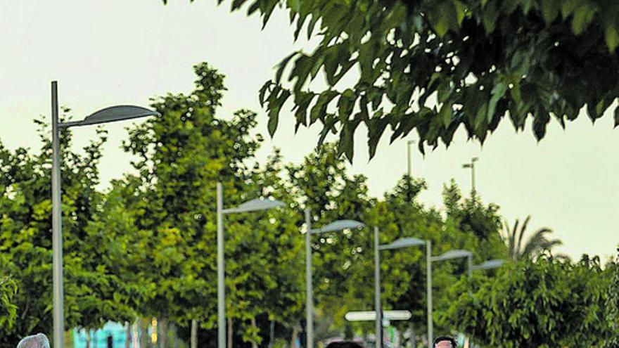 Jóvenes deportistas en uno de los paseos de la ciudad de Elche.