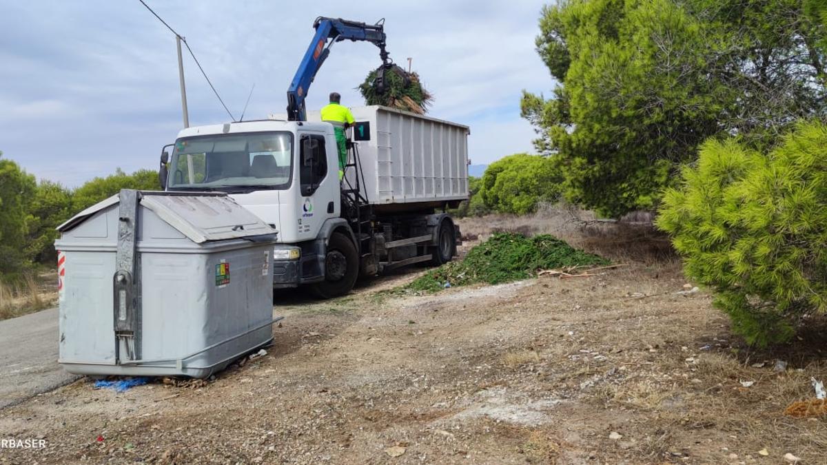 Recogida de podas en Santa Pola, en una imagen de archivo