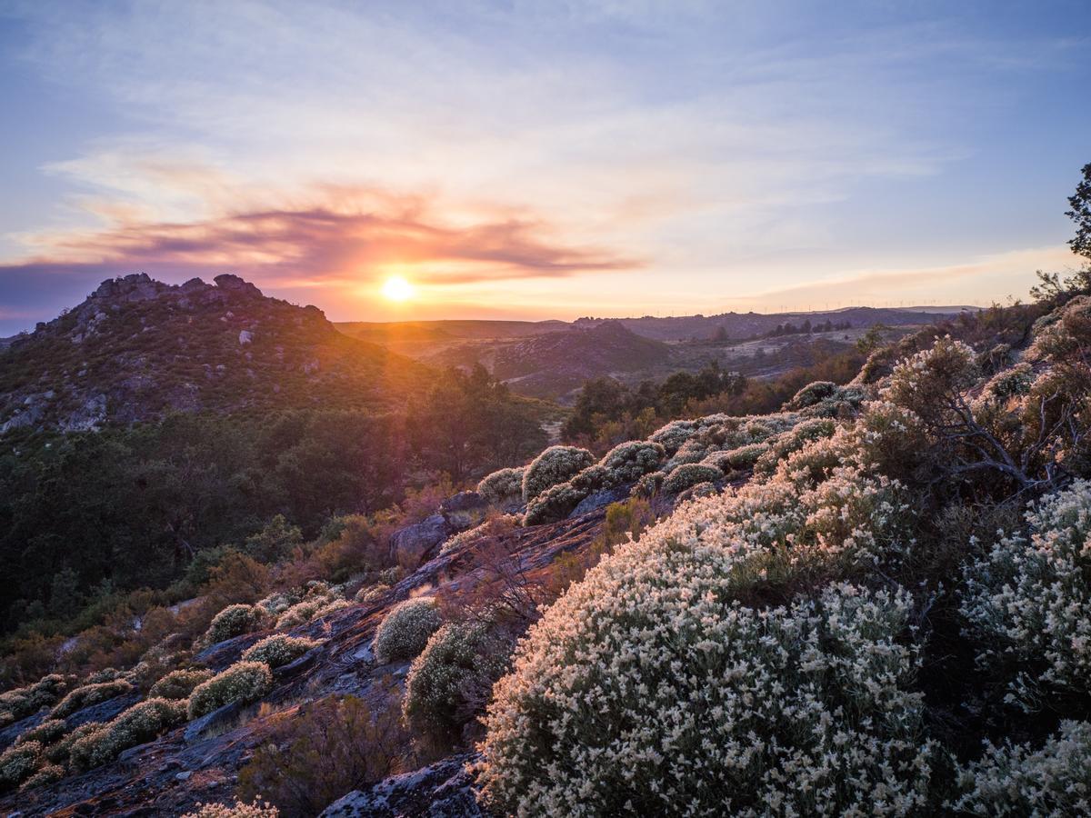 Qué es el solsticio de invierno