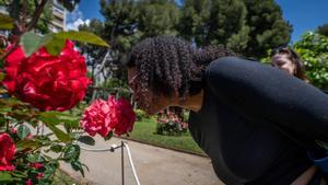 Plans a Barcelona plens de flors: des d’un concurs de roses fins a gerros de flors amb tarot