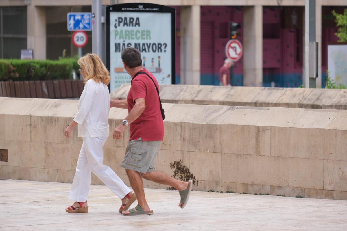 Unos viandantes corren ante la nube de abejas.