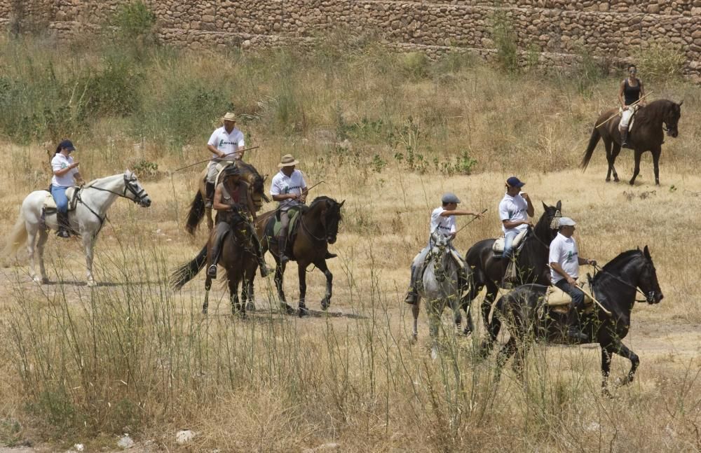 Fiestas de Sagunto. Recinto taurino.