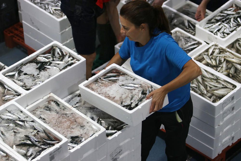 Así es un día de trabajo en la pescadería de Mercamálaga