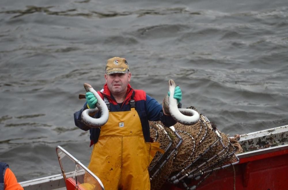 Pesca de lamprea en el río Ulla