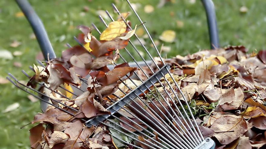 Recoge las hojas y aprovéchalas para hacer compost