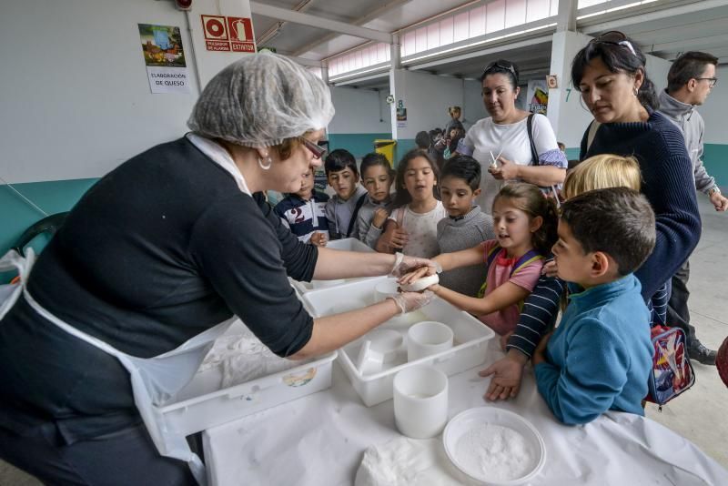 23/05/2018 ARUCAS. La Feria Escolar con más de 1.300 escolares, conocieron  y disfrutaron todo lo que ofrece el sector primario en la .Granja experimental del Cabildo. FOTO: J. PÉREZ CURBELO  | 23/05/2018 | Fotógrafo: José Pérez Curbelo