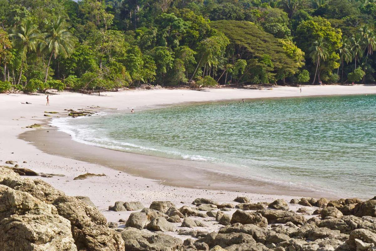 Mejores playas del mundo en 2021 - Manuel Antonio