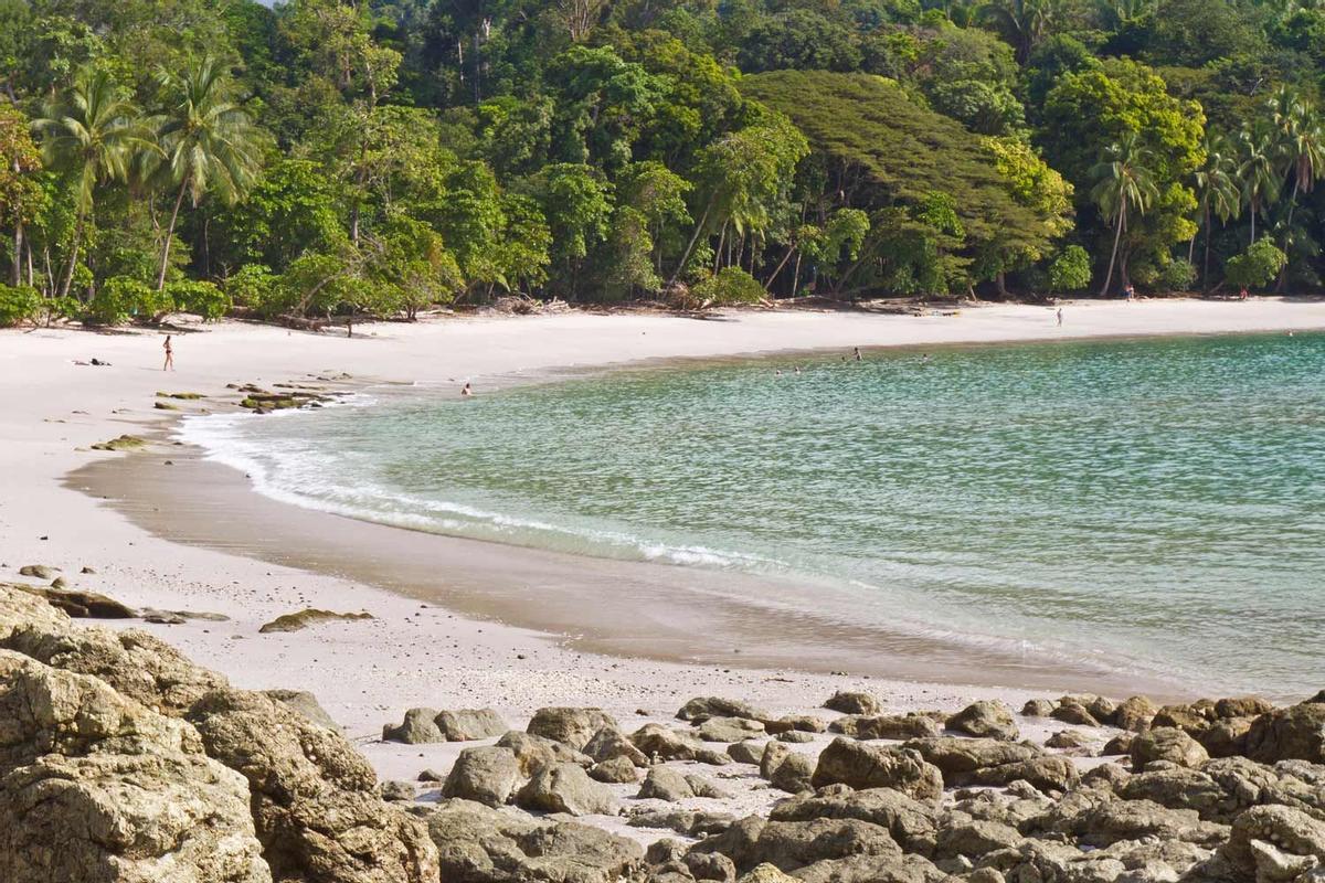 Mejores playas del mundo en 2021 - Manuel Antonio