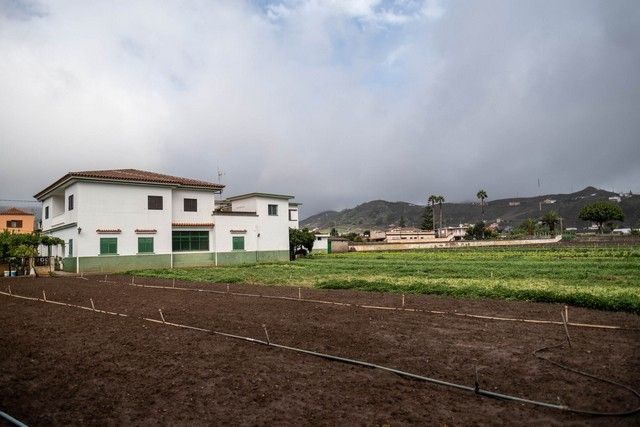 Efectos de la tormenta 'Hermine' en Tenerife