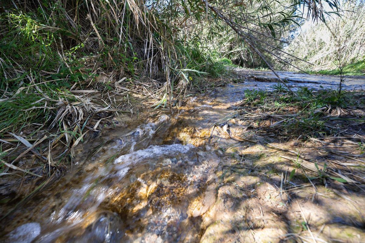Imágenes de sa Fontassa y el río de Santa Eulària Imágenes de sa Fontassa y el río de Santa Eulària