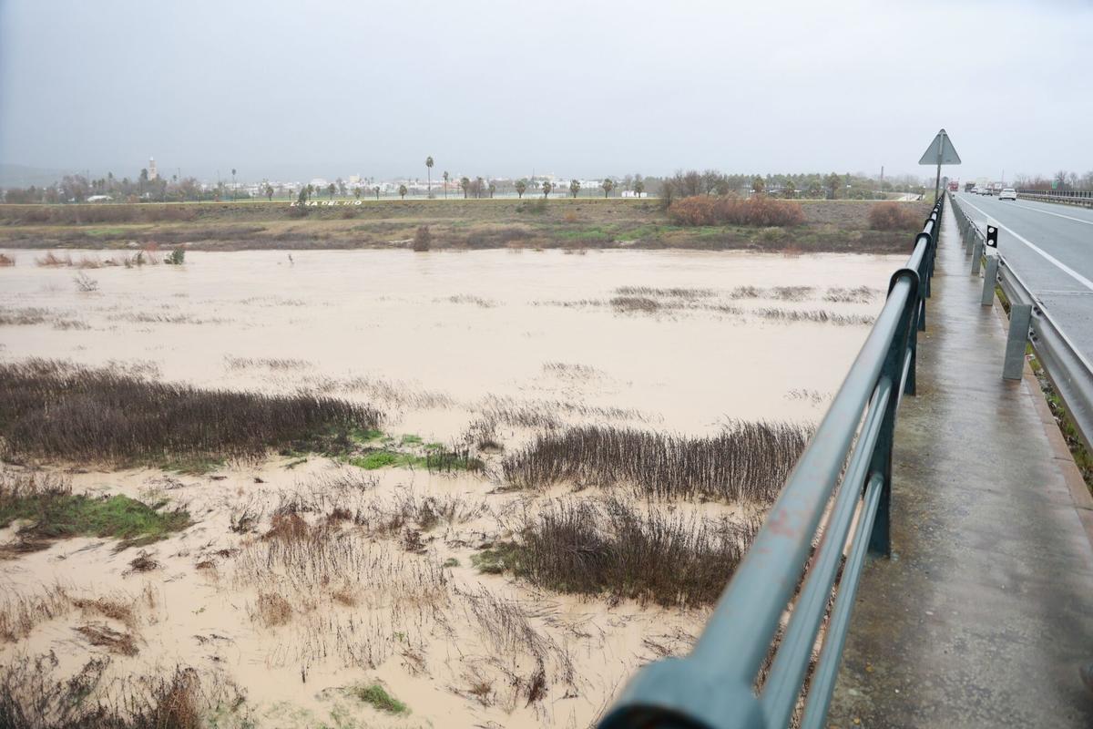 El río Guadalquivir a su paso por Lora del Río en una imagen de la pasada semana.