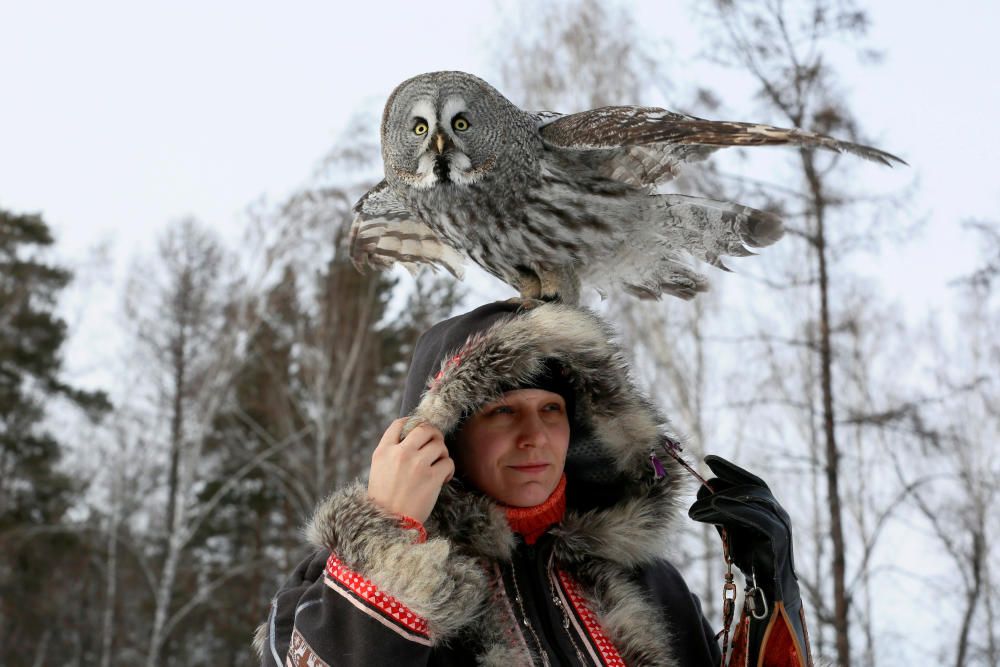 An owl is seen during a training session in ...