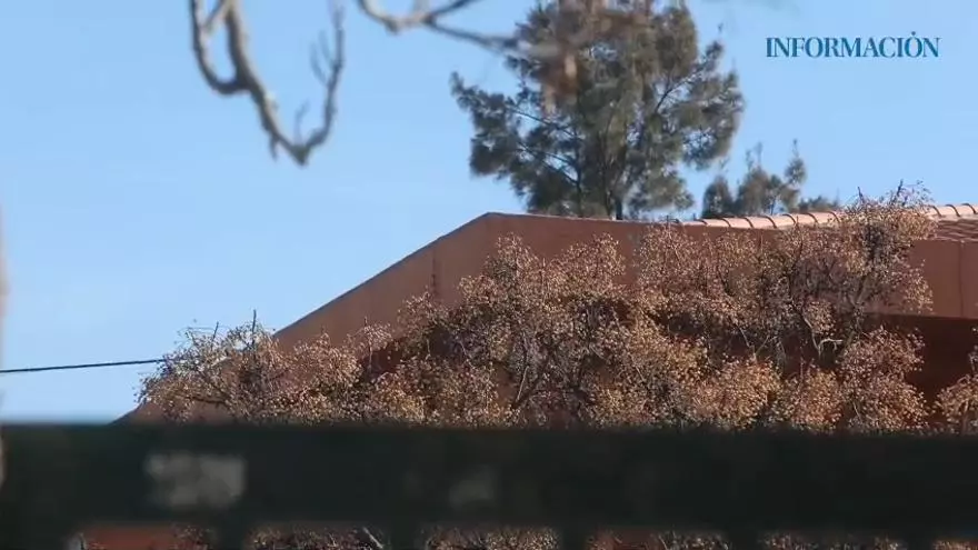 Nueva caída de cascotes de la fachada en el patio del colegio Azorín
