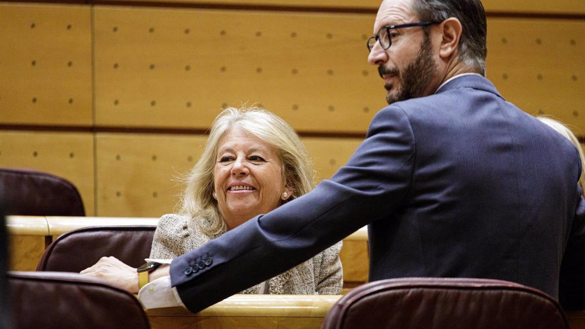 La alcadesa y senadora, Ángeles Muñoz, en su escaño en el Senado.