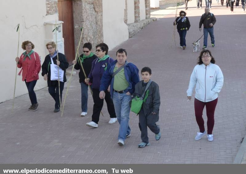 GALERÍA DE FOTOS - Romería Magdalena 2014 (2)