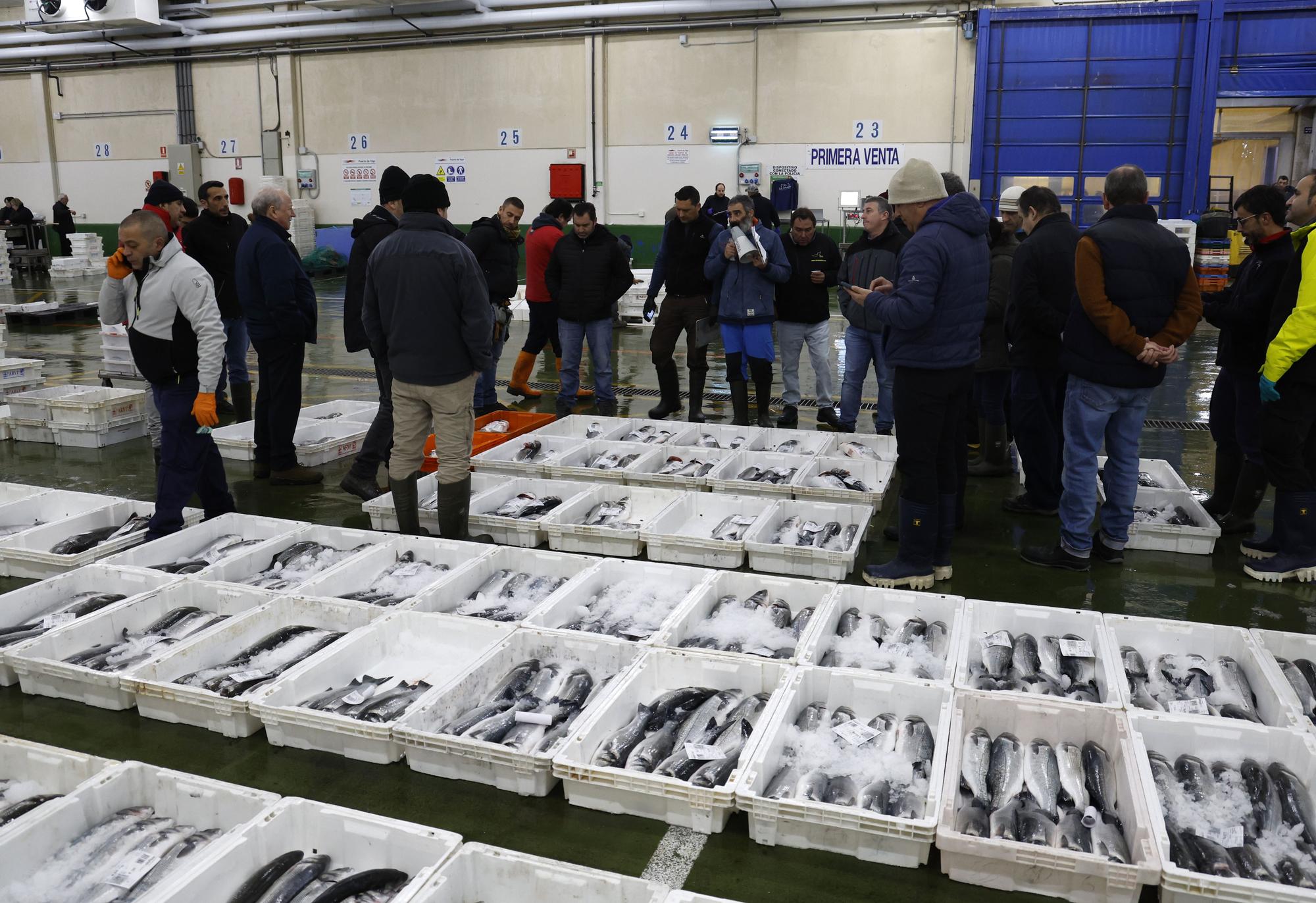 Barcos portugueses recurren a la lonja de Vigo para vender tintoreras y pez espada