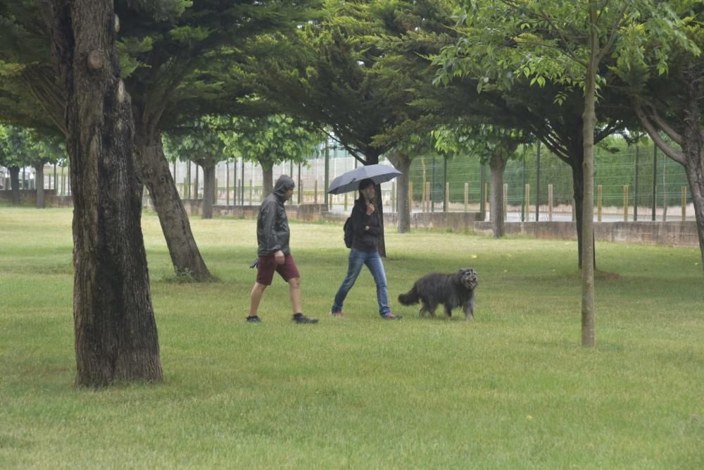 Manresa recupera el parc de l'Agulla 79 dies després