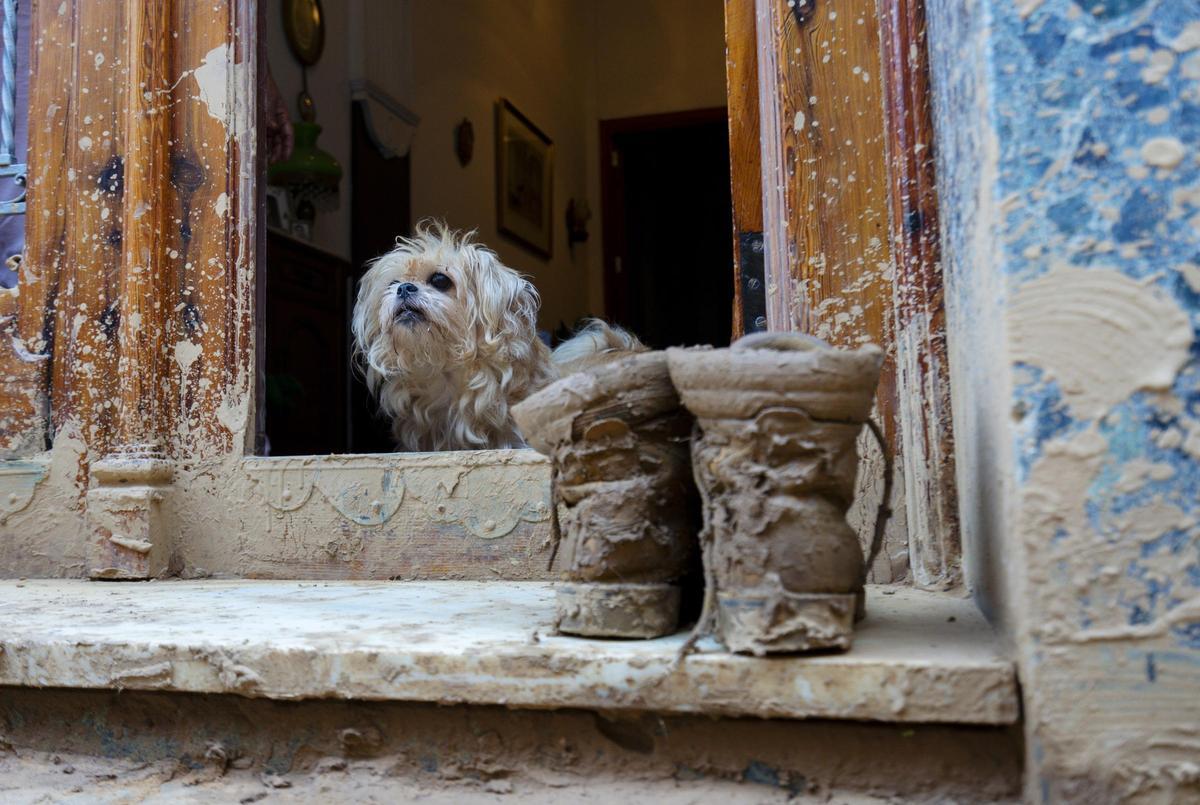 Una de las fotografías realizadas por Salva Garrigues.