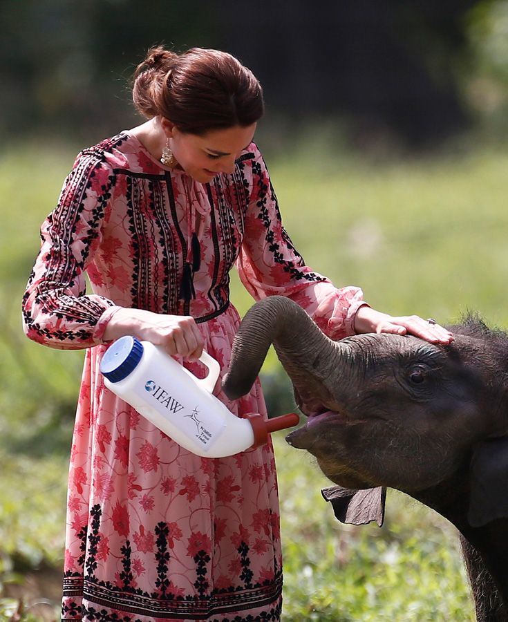 Kate Middleton de Topshop en India junto a los elefantes