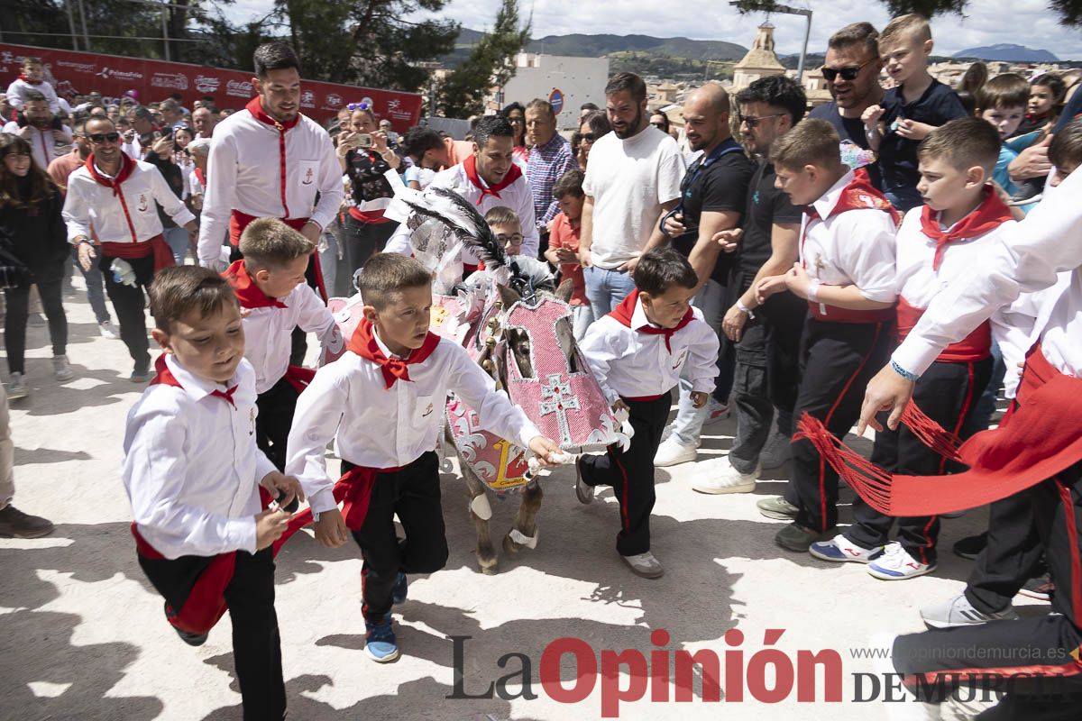 Fiestas de Caravaca | Desfile infantil del Bando de los Caballos del Vino